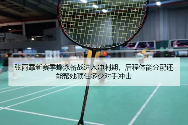 zhang-yu-fei-xin-sai-ji-die-yong-bei-zhan-jin-ru-chong-ci-qi-hou-cheng-ti-neng-fen-pei-hai-neng-bang-ta-ding-zhu-duo-2-362.jpg